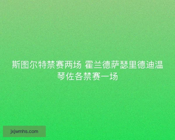 斯图尔特禁赛两场 霍兰德萨瑟里德迪温琴佐各禁赛一场